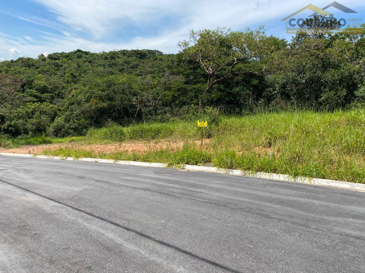 WhatsApp Image 2025-01-22 at 10.28.09 (1).jpeg